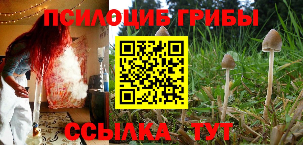 Псилоцибиновые грибы Magic Shrooms Кировск