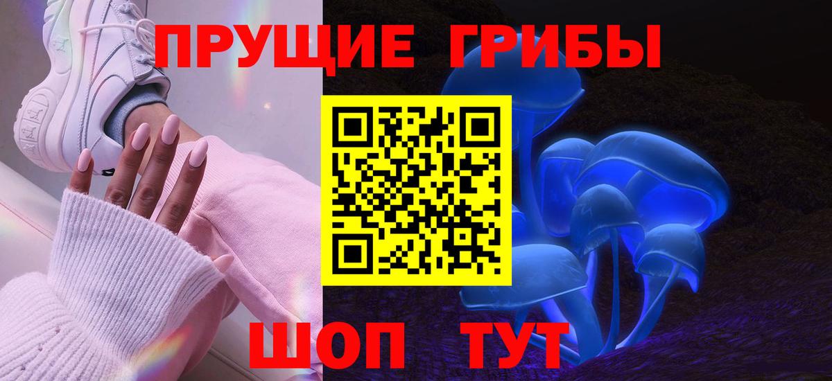 Кировск  Псилоцибиновые грибы ЛСД  Псилоцибиновые грибы MAGIC MUSHROOMS  Вход с VPN 